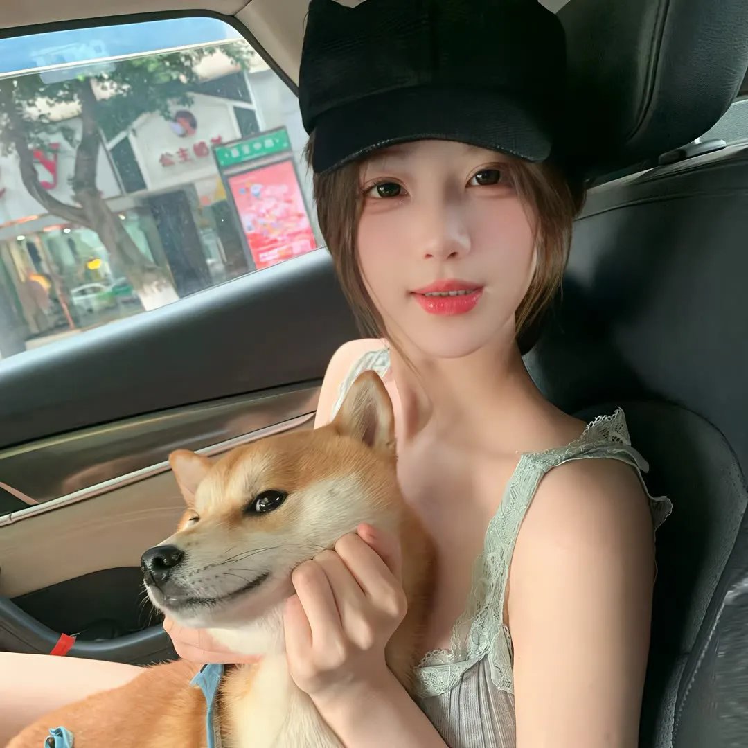 治愈队西游记